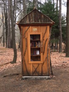 Library in the Woods