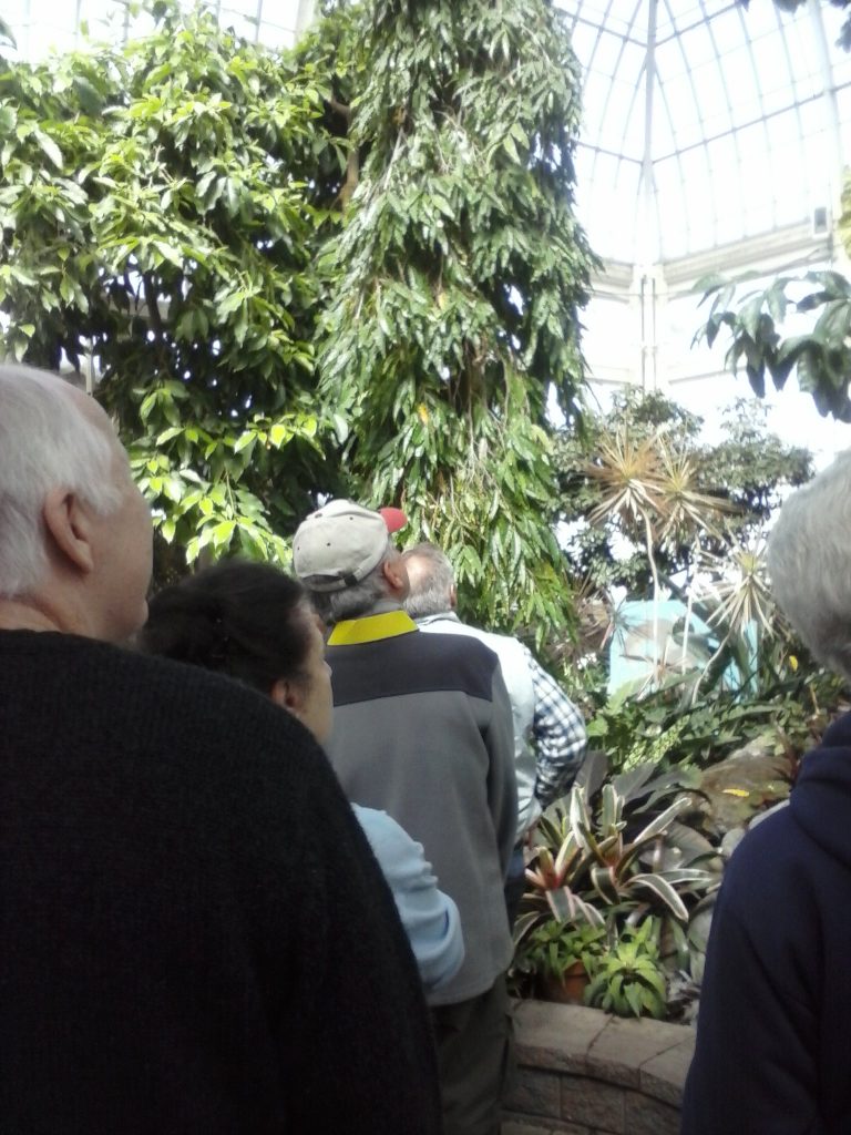 Botanical Garden Tour