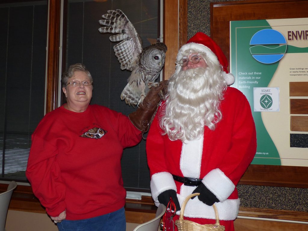 Santa with Barred owl