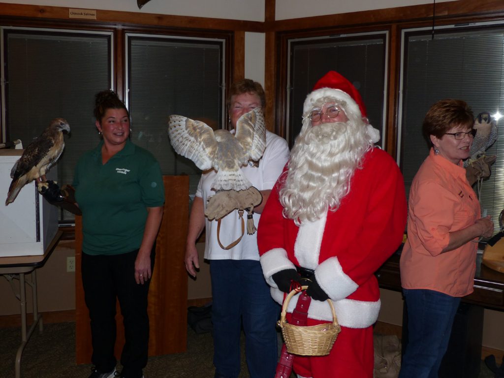 Santa with barn owl