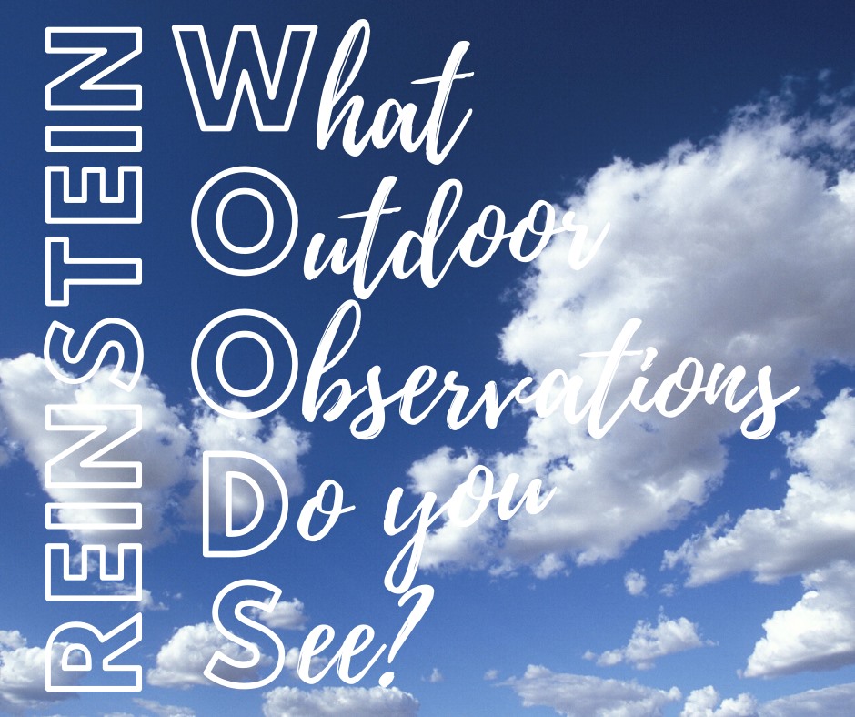 What outdoor observations do you see?