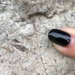 finger pointing to brachiopod fossil