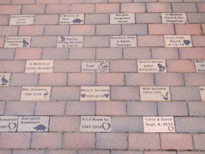 Engraved bricks in pathway