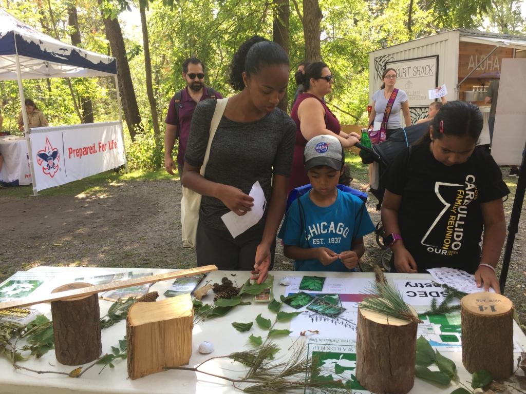 Fall festival - DEC forestry table