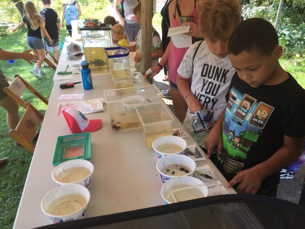 Fall festival - kids looking at pondlife