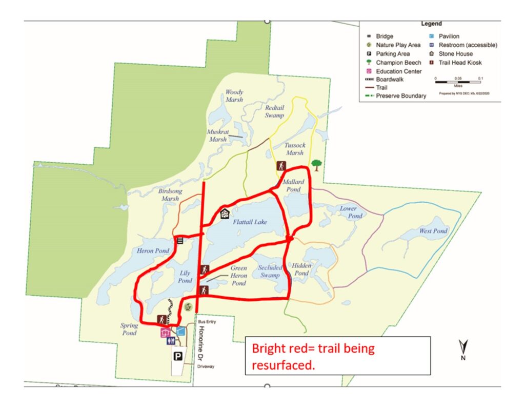 A map of Reinstein Woods' trails. Trails being resurfaced are highlighted in red.