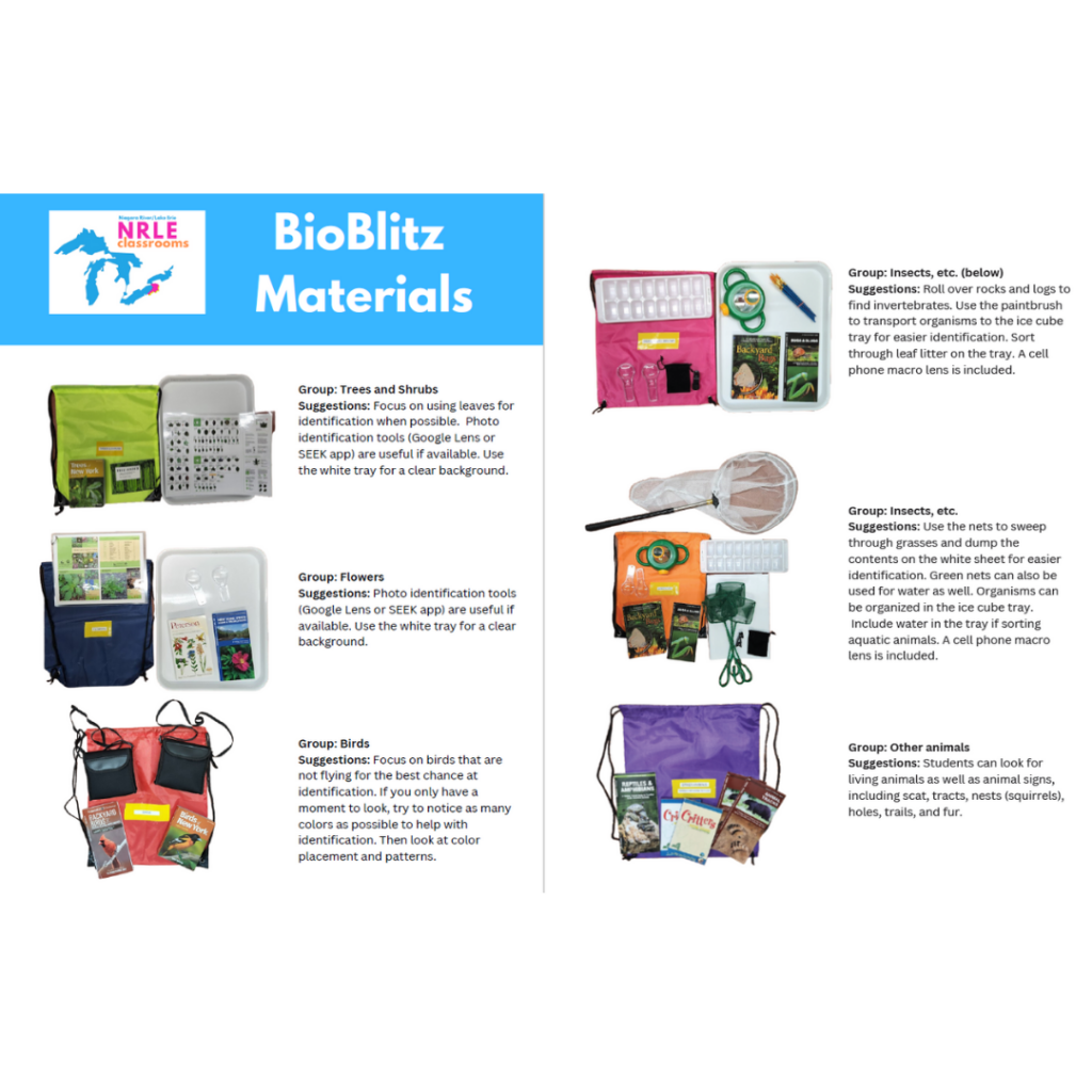 BioBlitzz