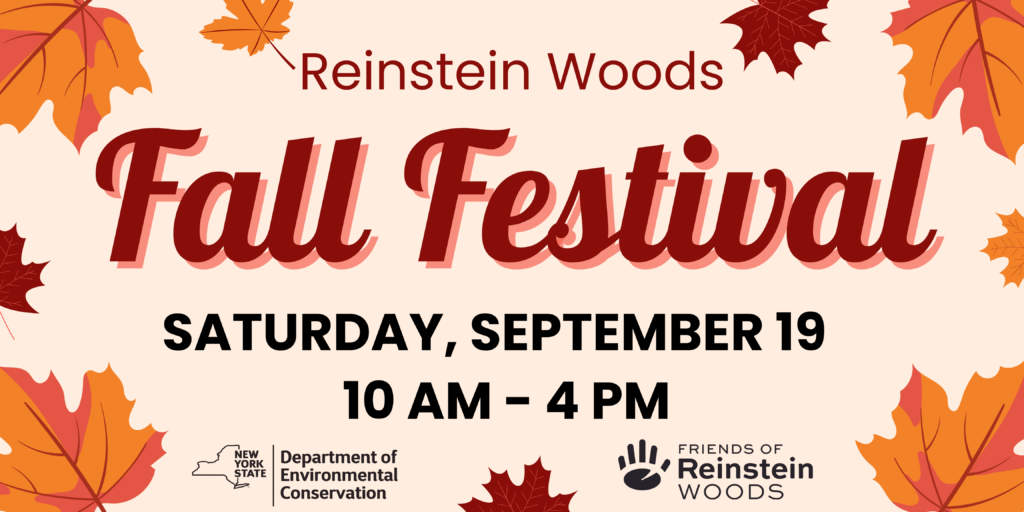 fall fest banner