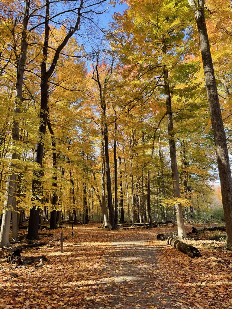 Friends of Reinstein Woods Annual Membership Meeting