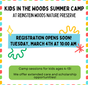 Camp Registration Date