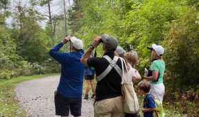 visitors looking at bird with binoculars