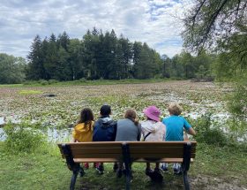 MicrosoftTeams-image (6)