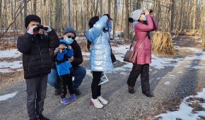 family viewing birds with binoculars