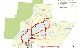 A map of Reinstein Woods' trails. Trails being resurfaced are highlighted in red.